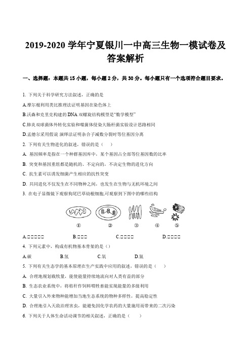 2019-2020学年宁夏银川一中高三生物一模试卷及答案解析