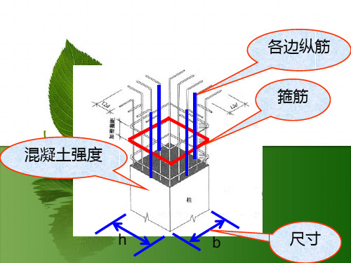 柱配筋图讲解83586