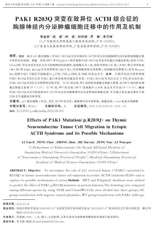 pak1 r203q突变在致异位acth综合征的胸腺神经内分泌肿瘤细胞迁移中的