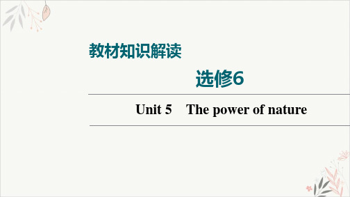 2022届高考一轮复习人教版英语选修6Unit5ThepowerofnaturePPT教学课件(双击