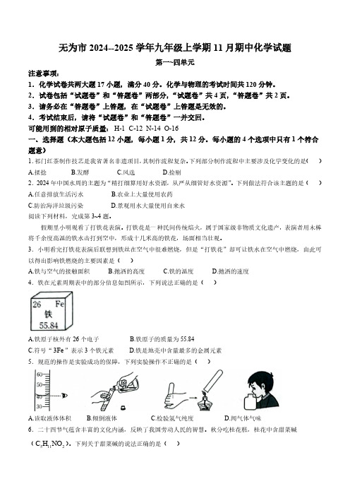 安徽省芜湖市无为市2024--2025学年九年级上学期11月期中化学试题(含答案)