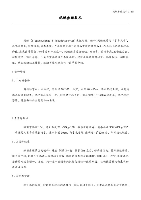 泥鳅养殖技术77391