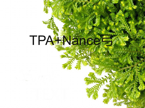 TPA+NANCE弓