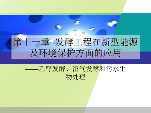 《微生物与发酵工程》第11章 发酵工程在新型能源及环境保护方面的应用(43P)