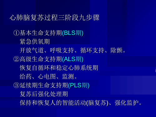 心肺脑复苏讲课-PPT文档资料