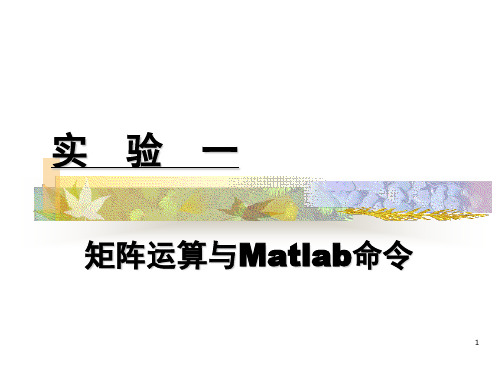 【精选】数学实验一矩阵运算与Matlab命令24