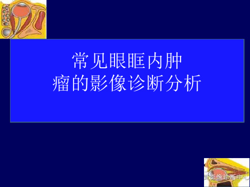 常见眼眶内肿瘤的影像诊断分析ppt课件