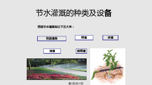 节水灌溉理论与技术PPT课件