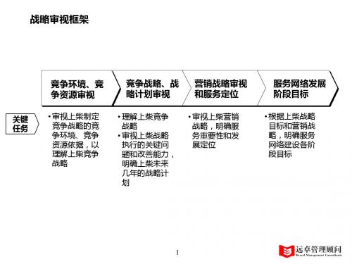 1029_战略审视报告