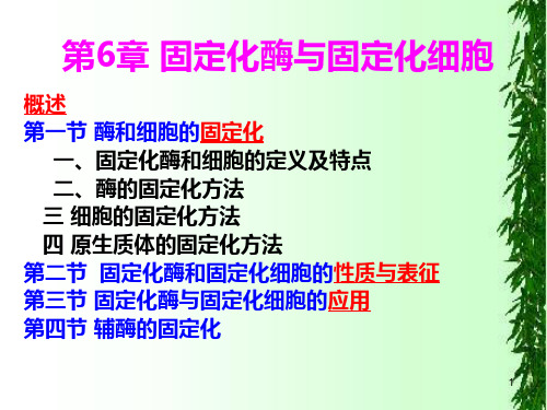 固定化酶与固定化细胞.ppt