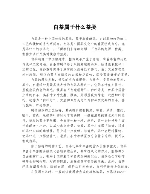 白茶属于什么茶类