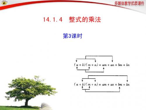 人教版14.1.4__整式的乘法_第3课时