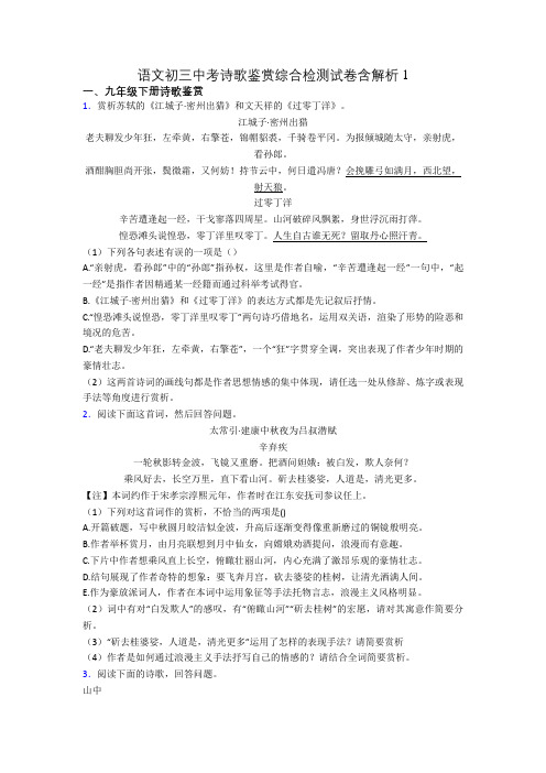 语文初三中考诗歌鉴赏综合检测试卷含解析1