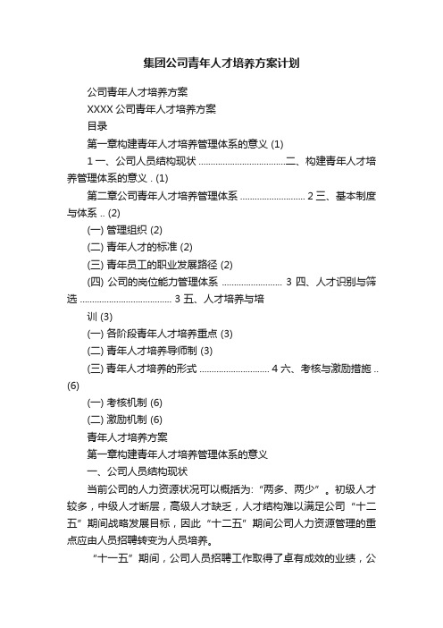 集团公司青年人才培养方案计划