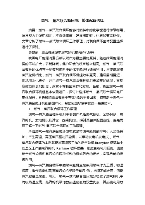 燃气—蒸汽联合循环电厂整体配置选择