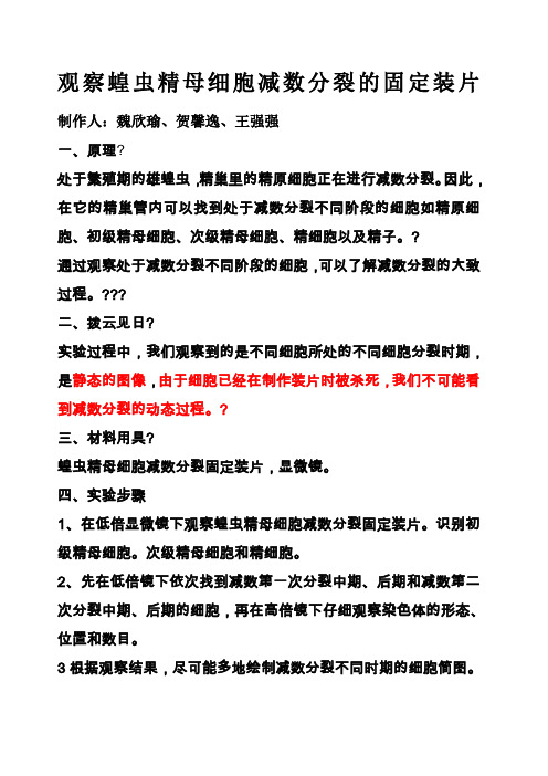 观察蝗虫精母细胞减数分裂的固定装片