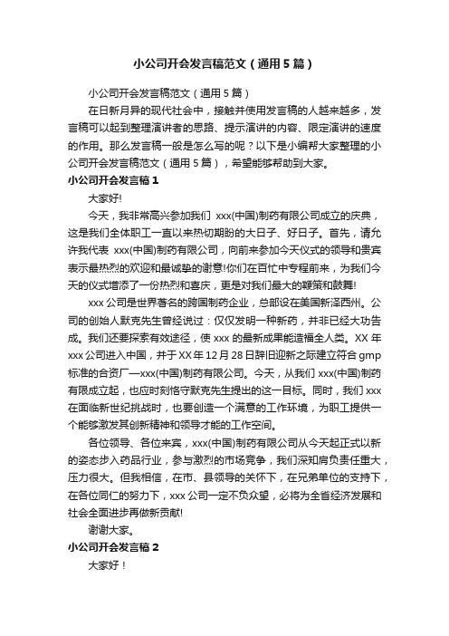 小公司开会发言稿范文（通用5篇）