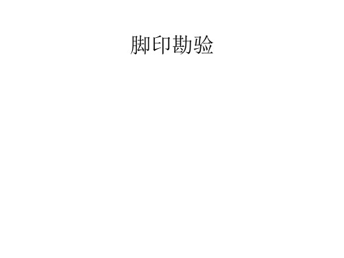 脚印勘验