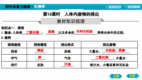 中考生物人体内废物的排出