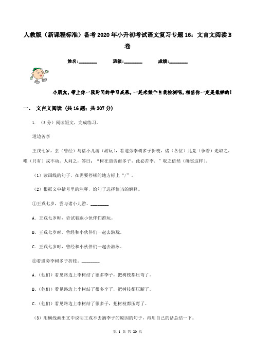 人教版(新课程标准)备考2020年小升初考试语文复习专题16：文言文阅读B卷