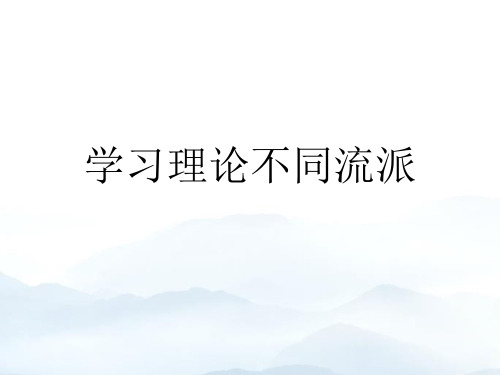 学习理论不同流派优质文档