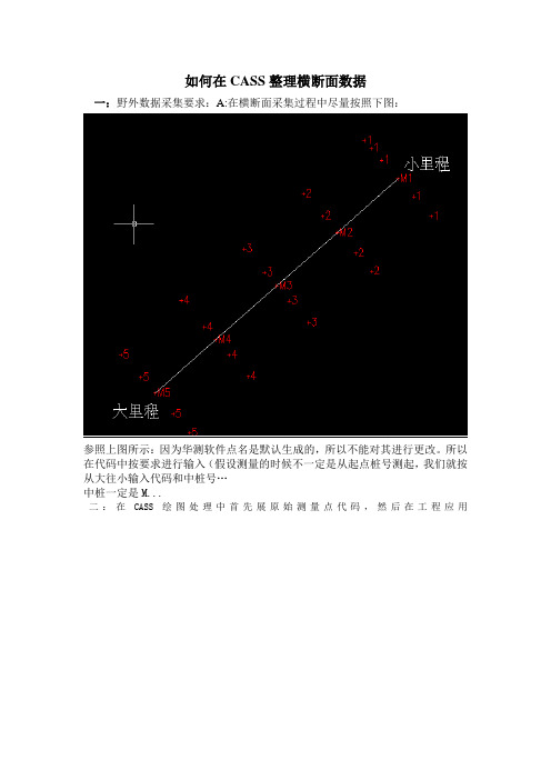 CASS整理横断面方法