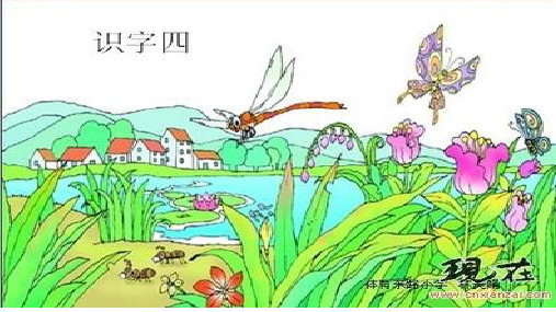 优质课一等奖小学语文一年级下册《夏夜多美》