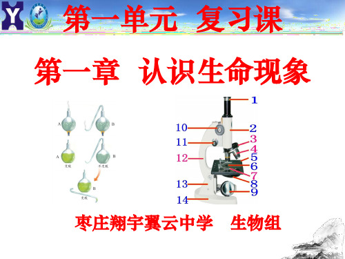 认识生命现象课件