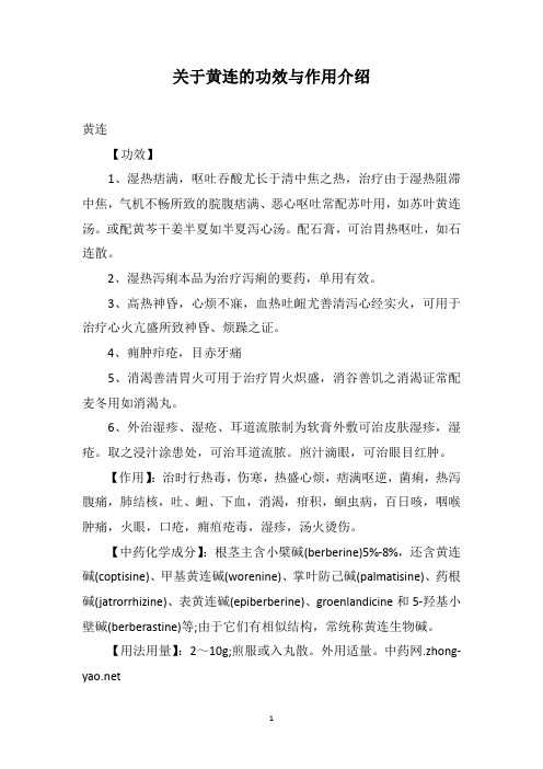 关于黄连的功效与作用介绍