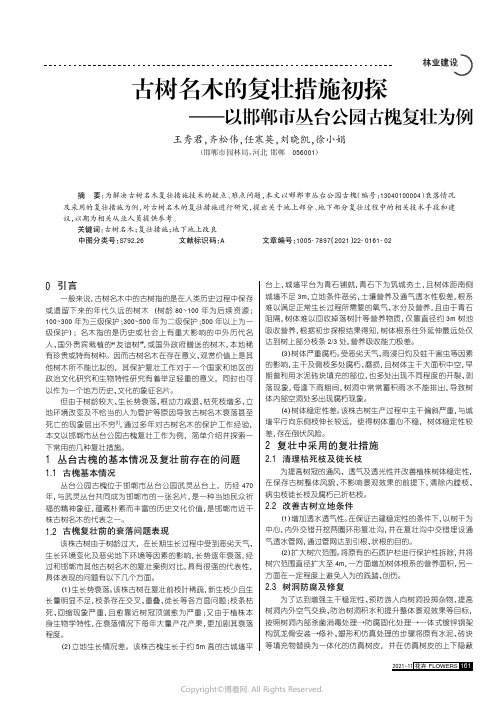 古树名木的复壮措施初探——以邯郸市丛台公园古槐复壮为例