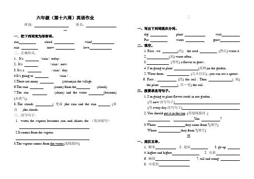 16周英语作业