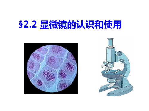 显微镜的认识和使用ppt课件