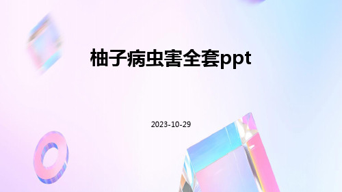 柚子病虫害全套ppt