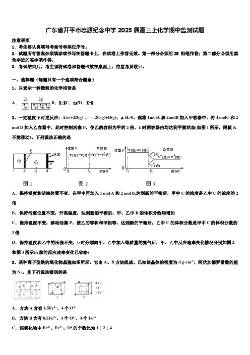 广东省开平市忠源纪念中学2025届高三上化学期中监测试题含解析