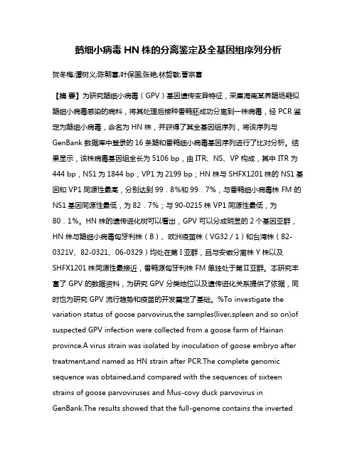 鹅细小病毒HN株的分离鉴定及全基因组序列分析