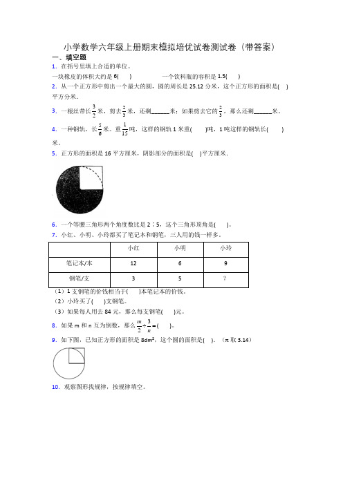 小学数学六年级上册期末模拟培优试卷测试卷(带答案)