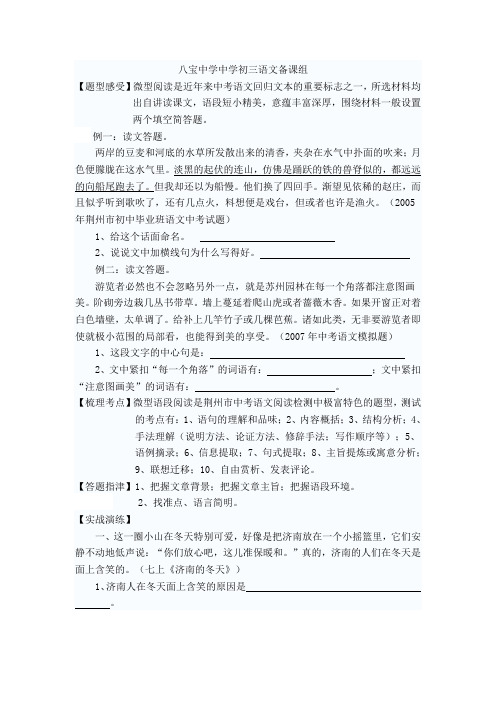 微型语段阅读  附答案