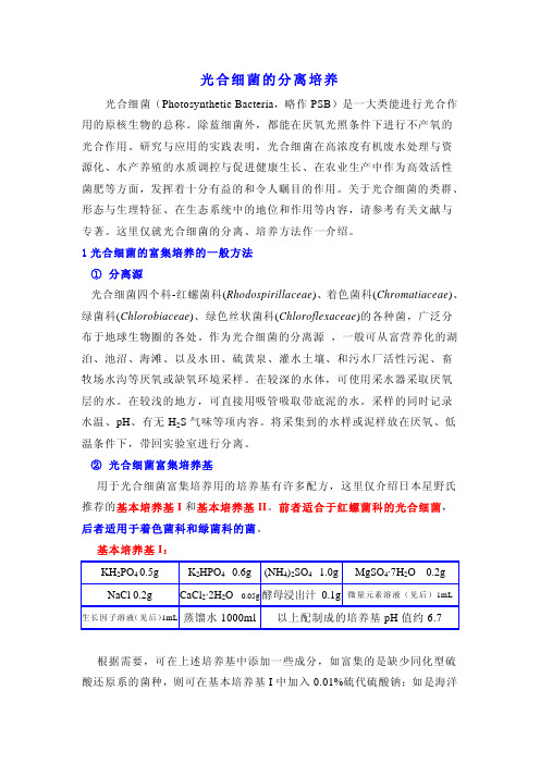 光合细菌不同属类的分离培养