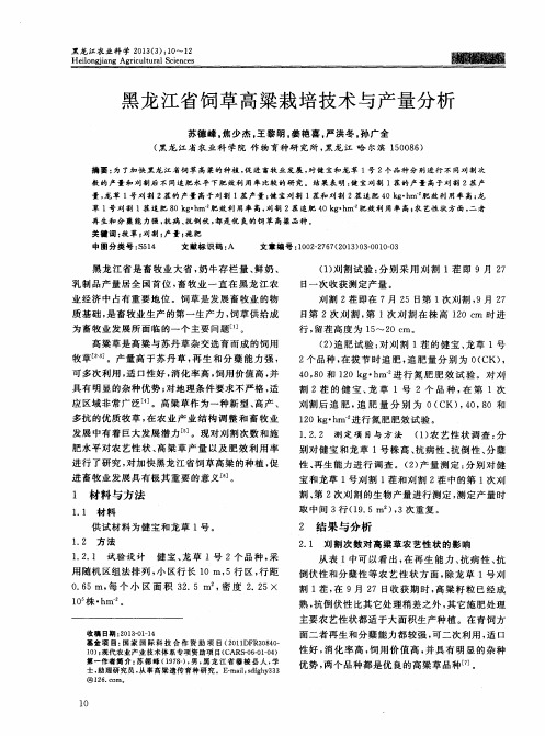 黑龙江省饲草高粱栽培技术与产量分析