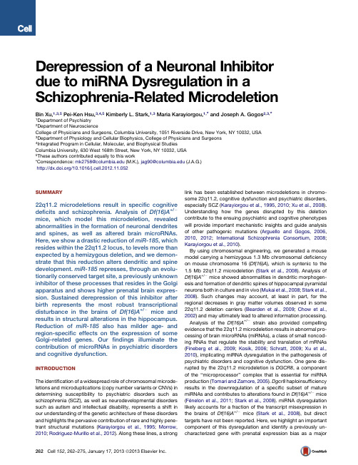 Derepression of Neuronal Inhibitor due to miRNA Dysregulation in Schizophrenia-Related Microdeletion