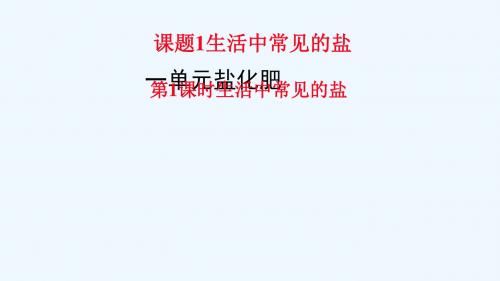 九年级化学下册 第11单元 盐 化肥 课题1 生活中常见的盐 第1课时 生活中常见的盐教学 (新版)新人教版