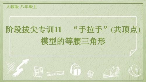 2024年人教版八年级上册数学阶段拔尖专训11 “手拉手”(共顶点)模型的等腰三角形