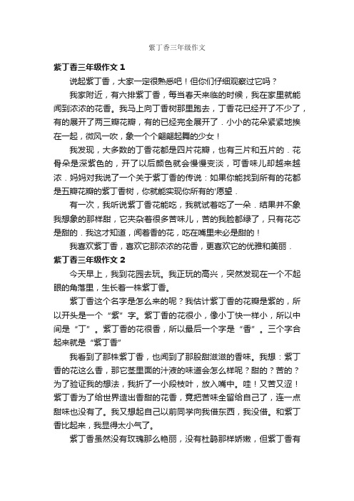 紫丁香三年级作文