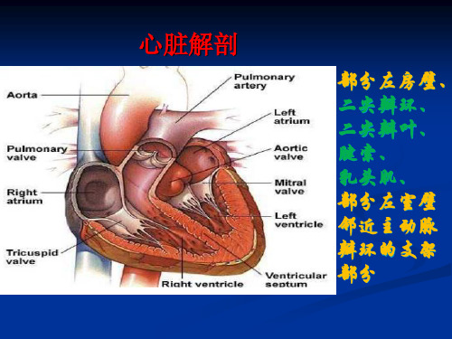 (完整)第版内科学课件二尖瓣关闭不全精品PPT资料精品PPT资料