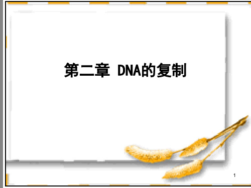 第二章 DNA的复制-分子生物学