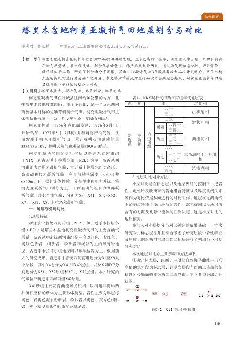 塔里木盆地柯克亚凝析气田地层划分与对比