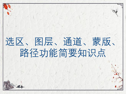 选区、图层、通道、蒙版、路径功能简要知识点