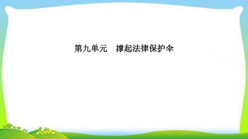 山东省德州市中考道德与法治复习第九-十单元撑起法律保护伞和在社会生活中学会选择