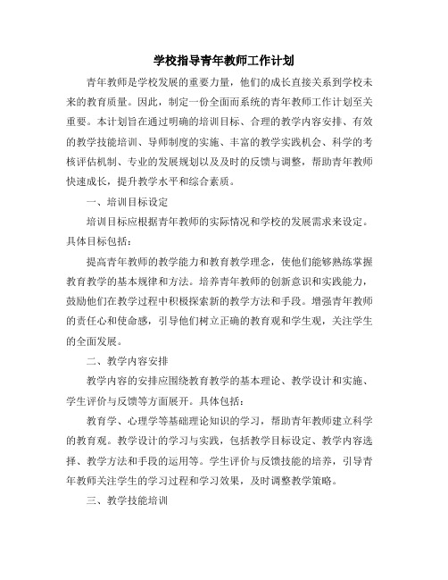 学校指导青年教师工作计划