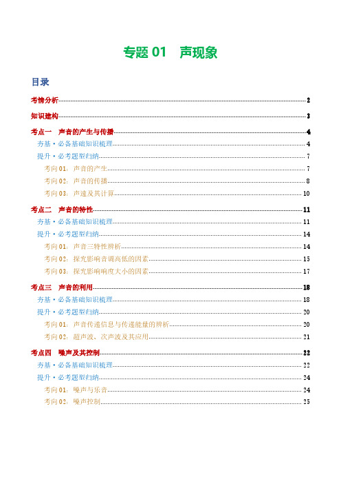 专题01  声现象(讲义)-2024年中考物理二轮复习讲练测(全国通用)(解析版)